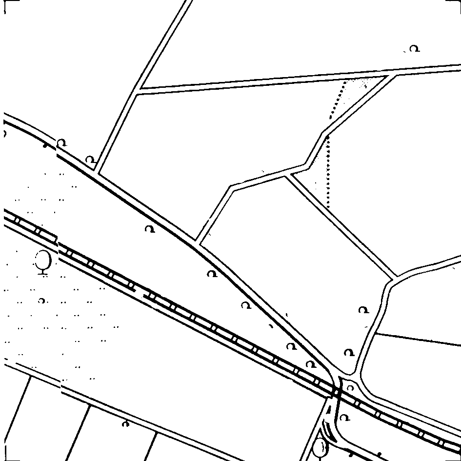 d1